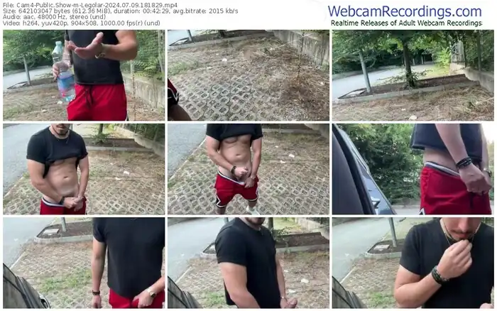 2024/07/09/cam4-legolar-18-18-29