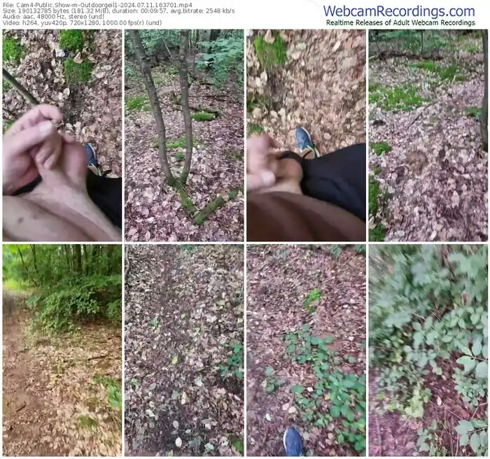 2024/07/11/cam4-outdoorgeil1-16-37-01