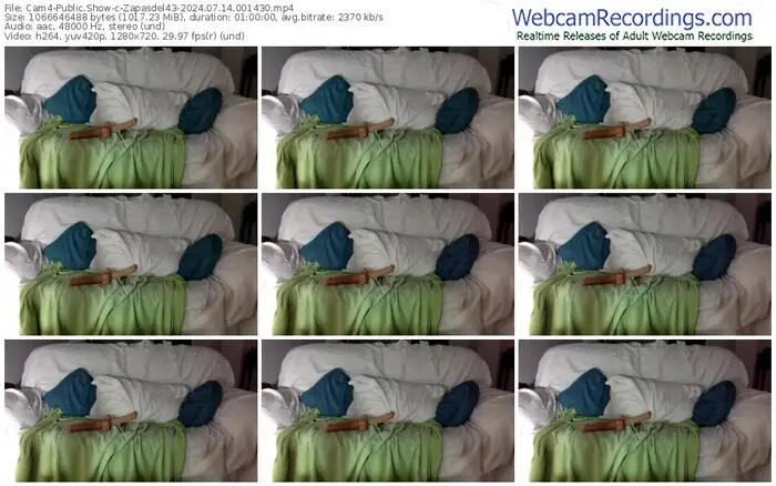 2024/07/14/cam4-zapasdel43-00-14-30