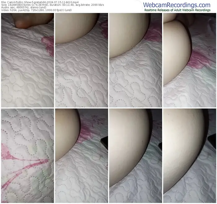 2024/07/15/cam4-gretagd4-11-44-10