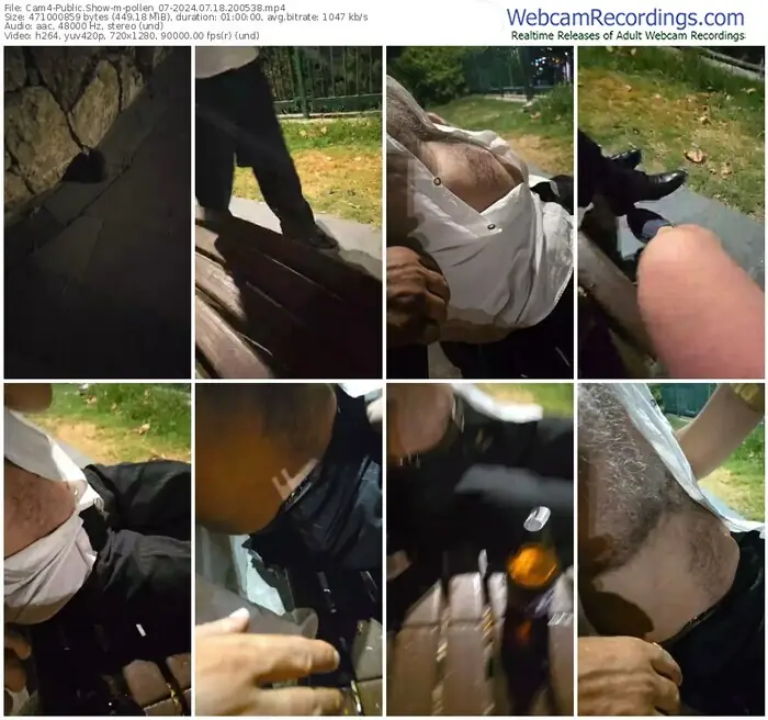 2024/07/18/cam4-pollen_07-20-05-38