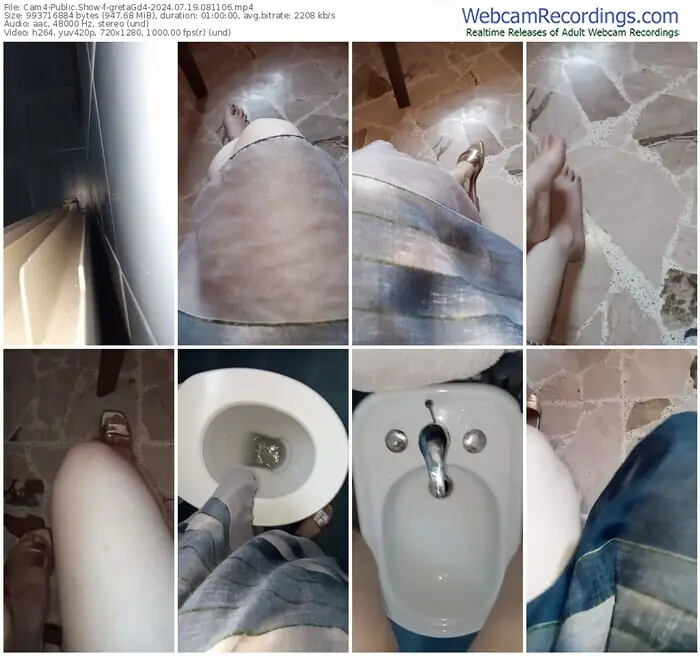 2024/07/19/cam4-gretagd4-08-11-06