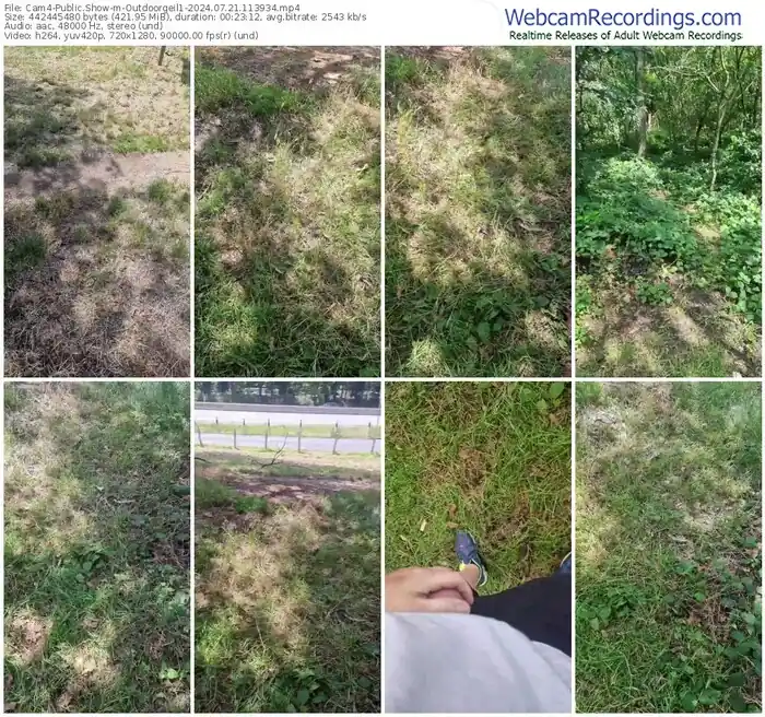2024/07/21/cam4-outdoorgeil1-11-39-34