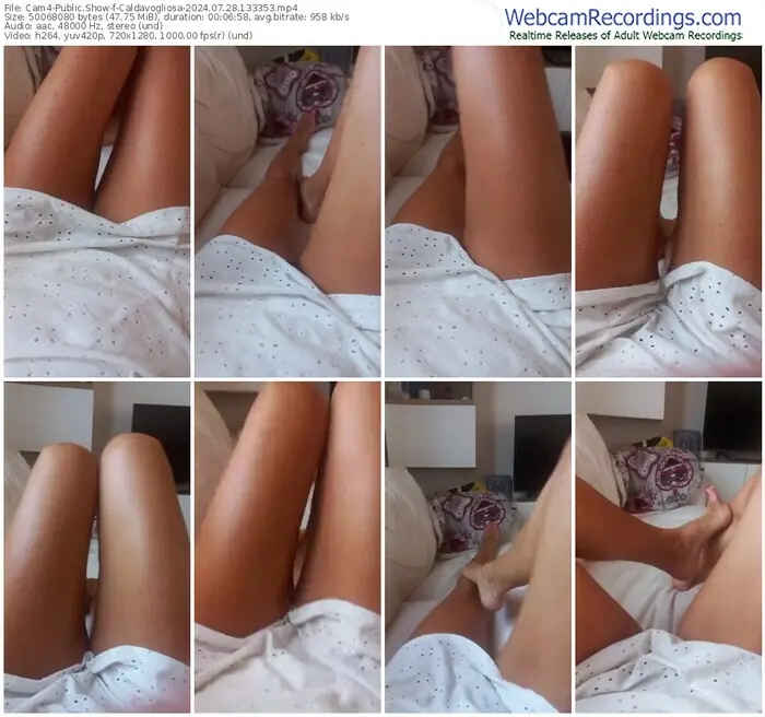 2024/07/28/cam4-caldavogliosa-13-33-53