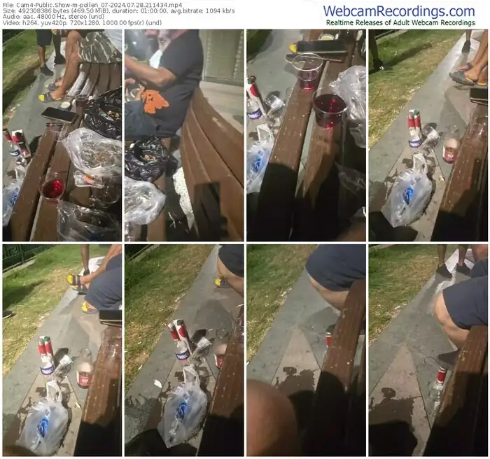 2024/07/28/cam4-pollen_07-21-14-34