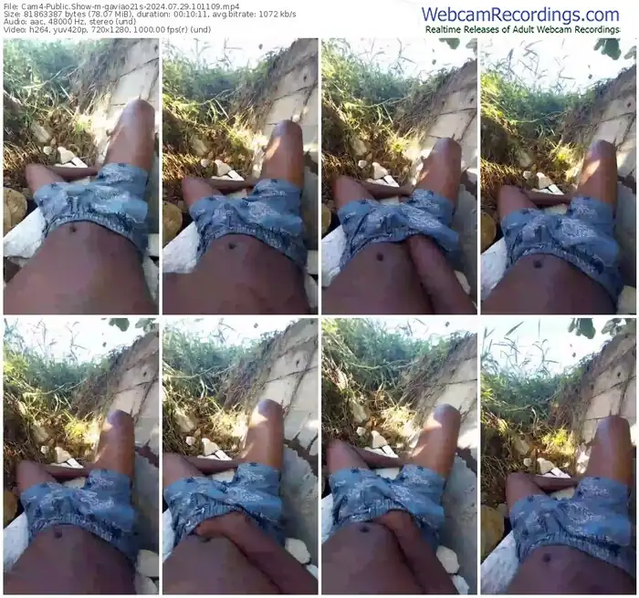 2024/07/29/cam4-gaviao21s-10-11-09