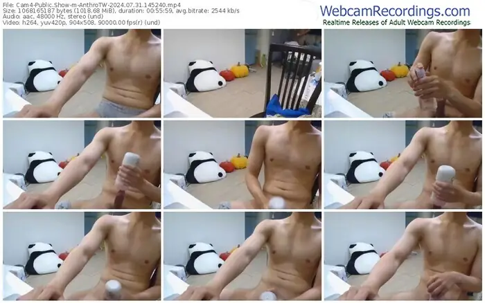 2024/07/31/cam4-anthrotw-14-52-40