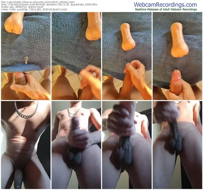 2024/08/01/cam4-alisxsnts-19-56-22