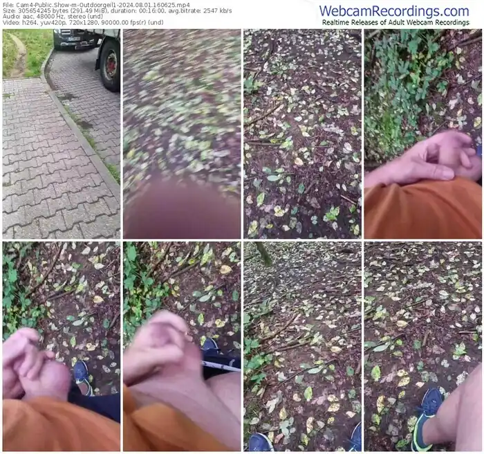 2024/08/01/cam4-outdoorgeil1-16-06-25