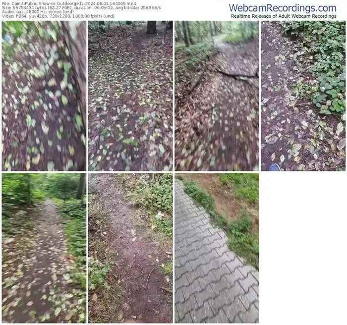 2024/08/01/cam4-outdoorgeil1-16-40-09