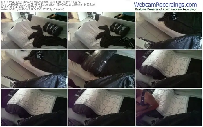 2024/08/03/cam4-lesrochelais60-05-23-01
