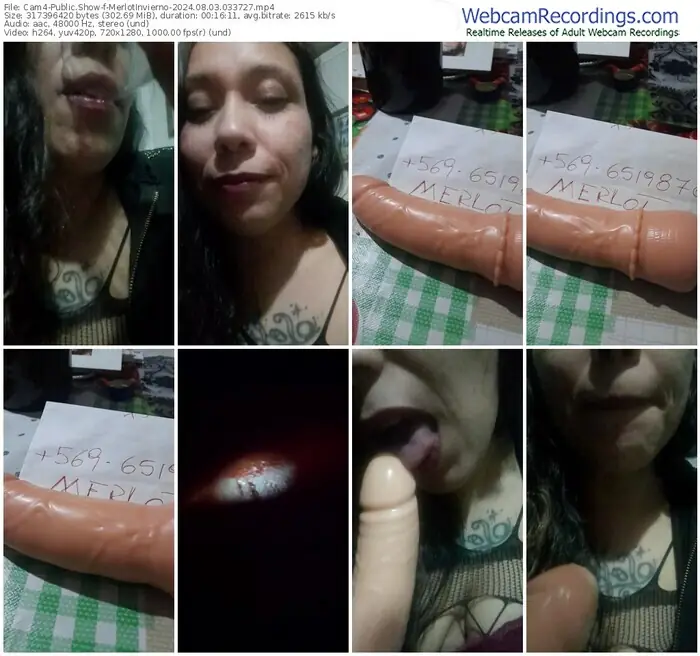 2024/08/03/cam4-merlotinvierno-03-37-27
