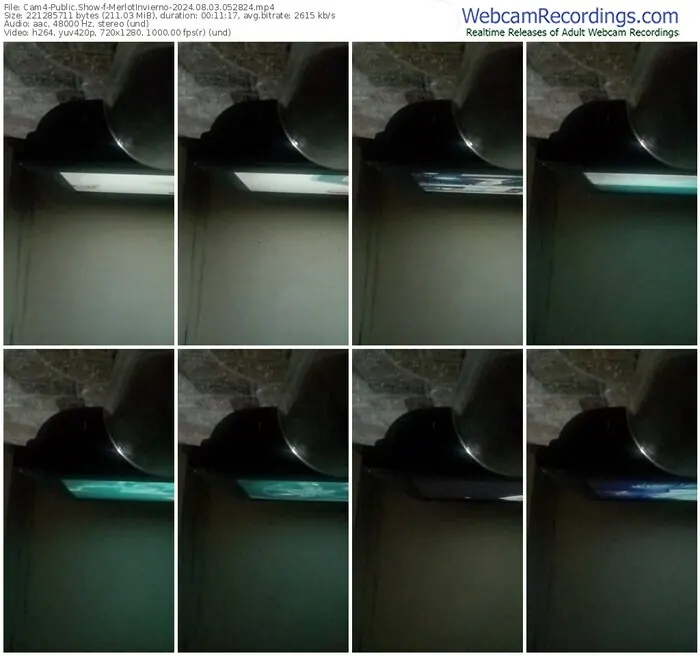 2024/08/03/cam4-merlotinvierno-05-28-24