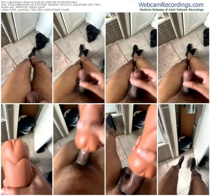 2024/08/04/cam4-vyali321-09-15-00