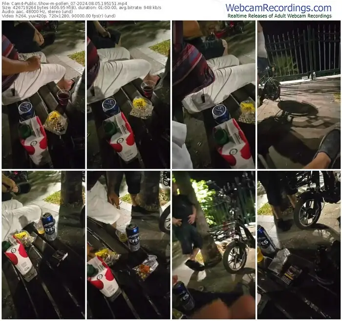 2024/08/05/cam4-pollen_07-19-51-51