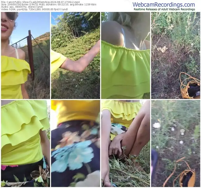 2024/08/07/cam4-ladylittlemrbig-17-06-12