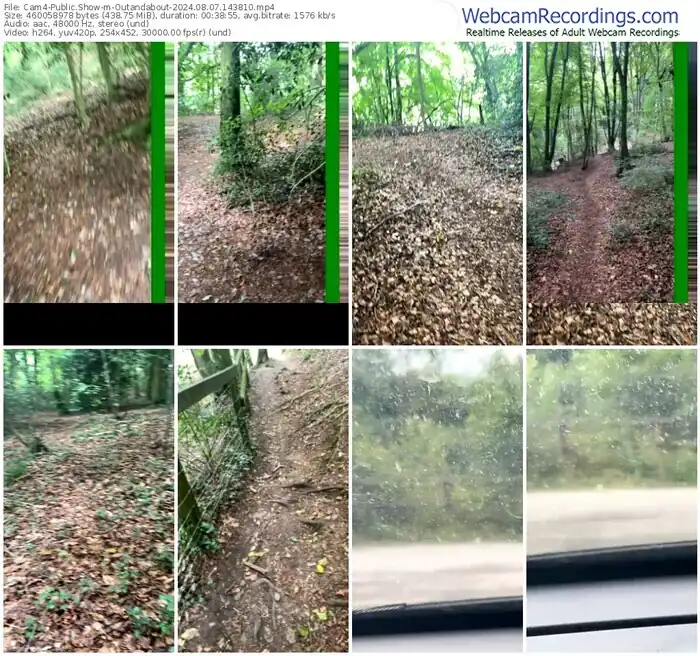 2024/08/07/cam4-outandabout-14-38-10