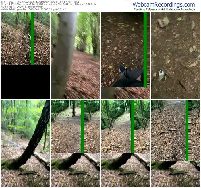 2024/08/07/cam4-outandabout-17-39-01