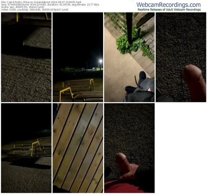 2024/08/07/cam4-outandabout-21-46-05