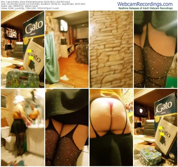 2024/08/11/cam4-merlotinvierno-03-19-00