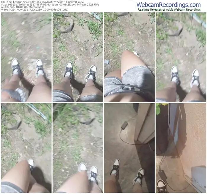 2024/08/11/cam4-rossita_golden1-06-08-31