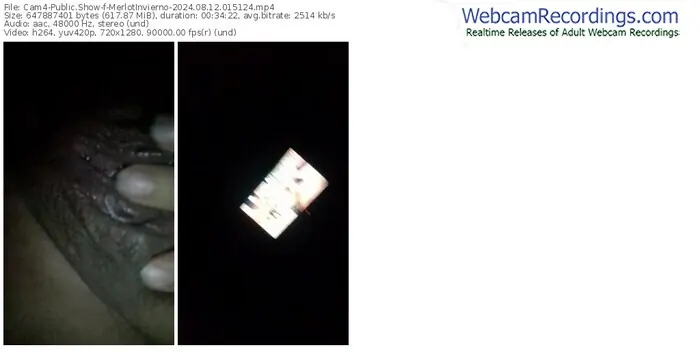 2024/08/12/cam4-merlotinvierno-01-51-24