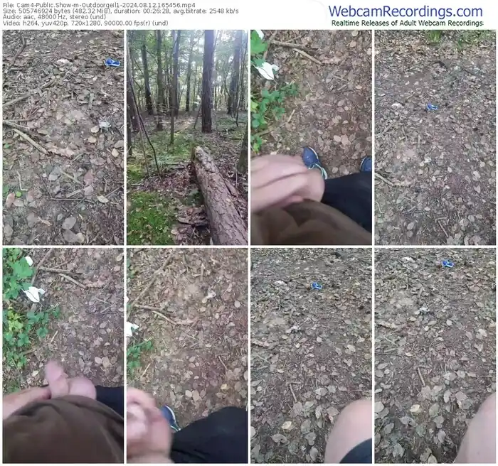 2024/08/12/cam4-outdoorgeil1-16-54-56