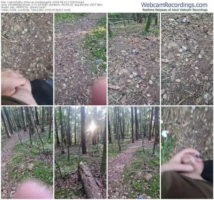 2024/08/12/cam4-outdoorgeil1-17-23-19
