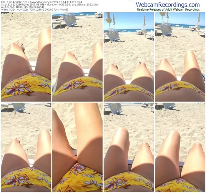 2024/08/14/cam4-wandaalysony9-11-13-03