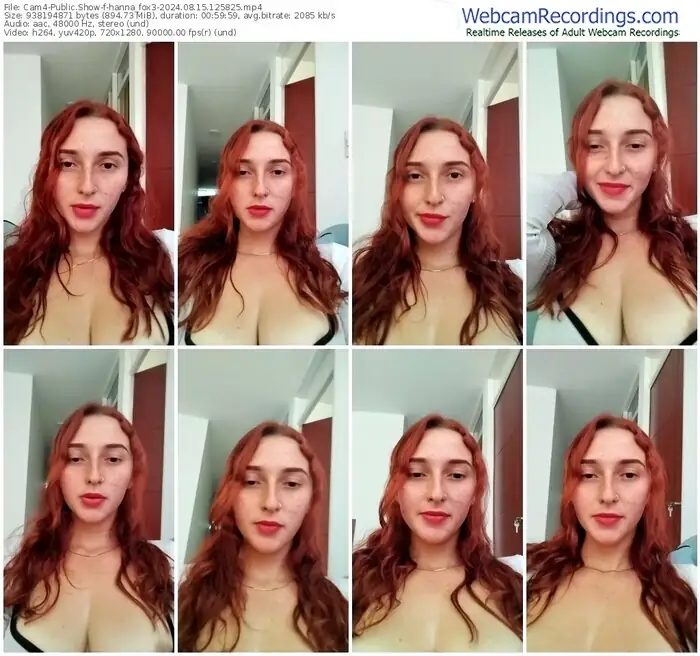 2024/08/15/cam4-hanna_fox3-12-58-25