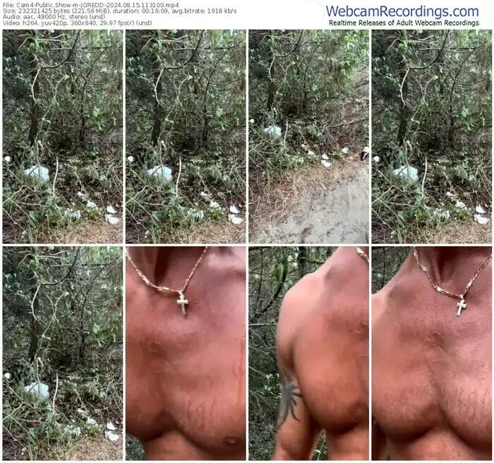 2024/08/15/cam4-joredd-11-31-00
