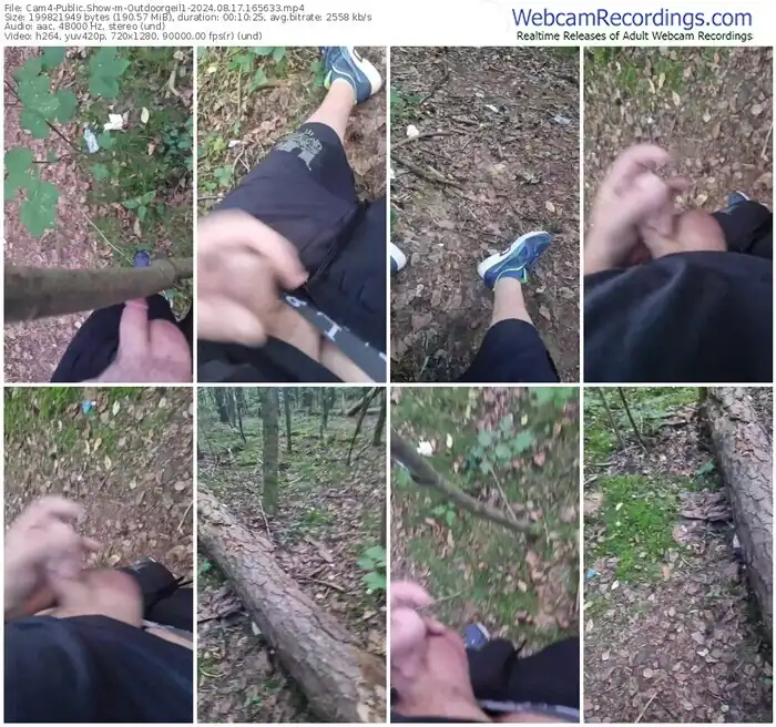 2024/08/17/cam4-outdoorgeil1-16-56-33