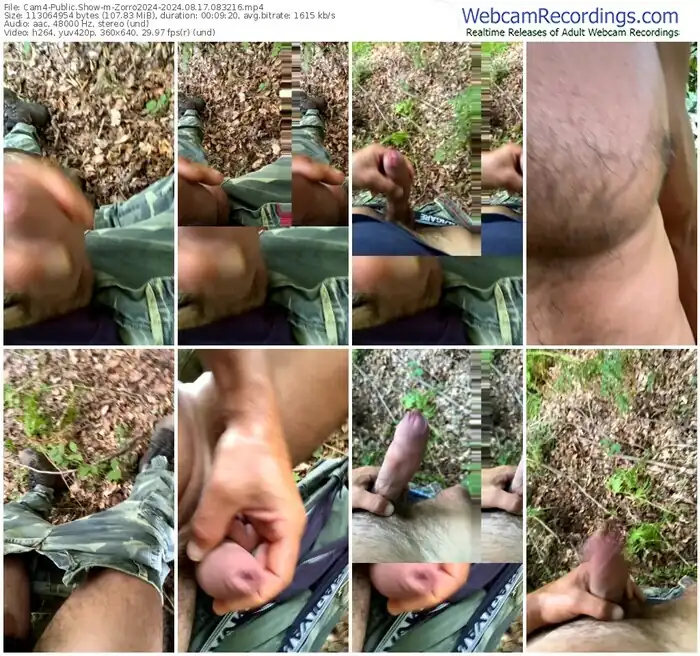 2024/08/17/cam4-zorro2024-08-32-16