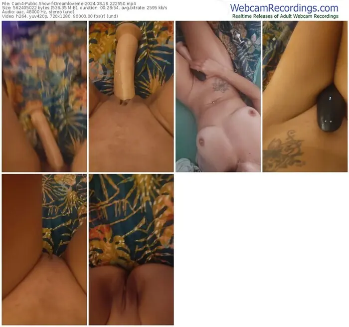 2024/08/19/cam4-dreamloveme-22-25-50