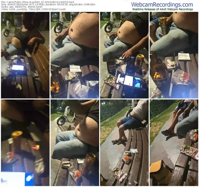 2024/08/19/cam4-pollen_07-19-42-32