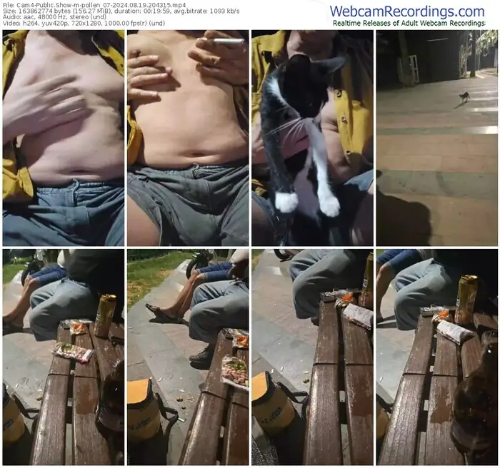 2024/08/19/cam4-pollen_07-20-43-15