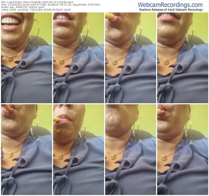 2024/08/22/cam4-mahdlc-14-18-36