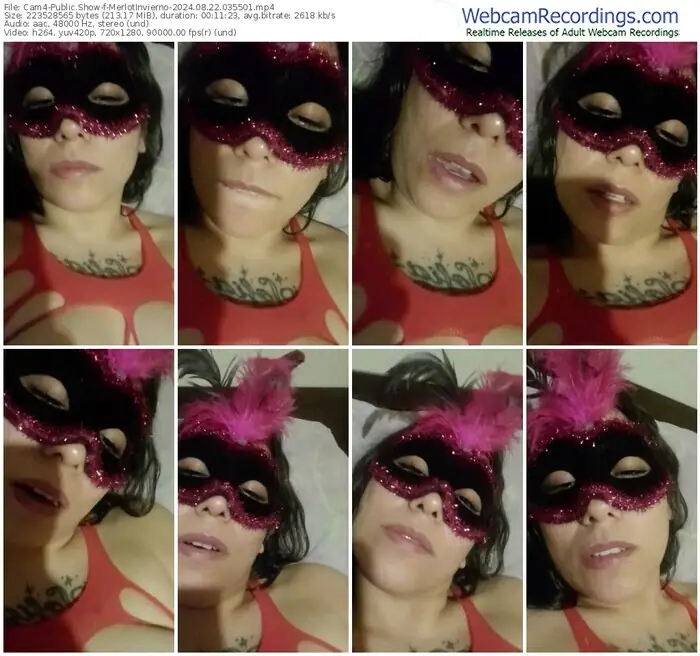 2024/08/22/cam4-merlotinvierno-03-55-01