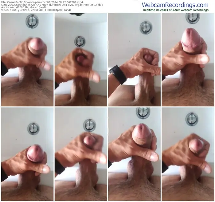 2024/08/22/cam4-perroloco68-06-22-09