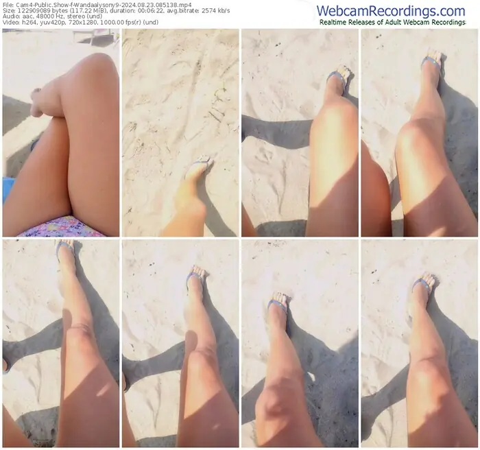 2024/08/23/cam4-wandaalysony9-08-51-38