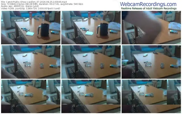 2024/08/25/cam4-pollen_07-14-30-46