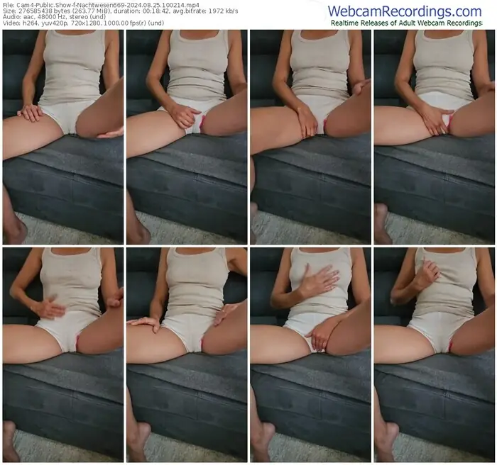 2024/08/25/cam4-nachtwesen669-10-02-14