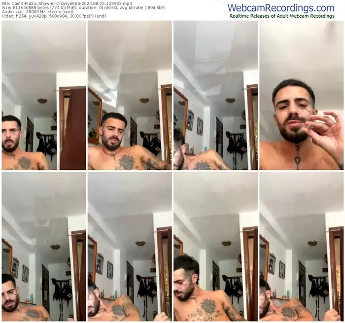 2024/08/25/cam4-charlye666-12-39-33