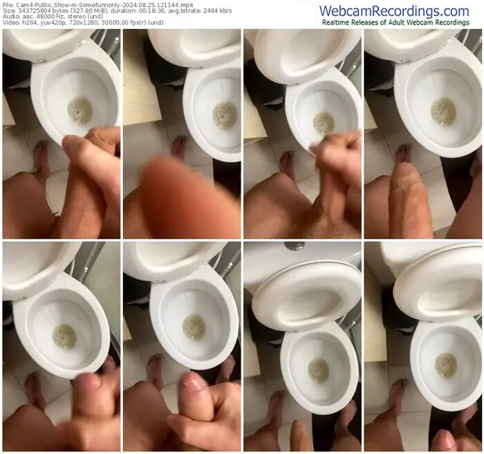 2024/08/25/cam4-somefunnonly-12-11-44