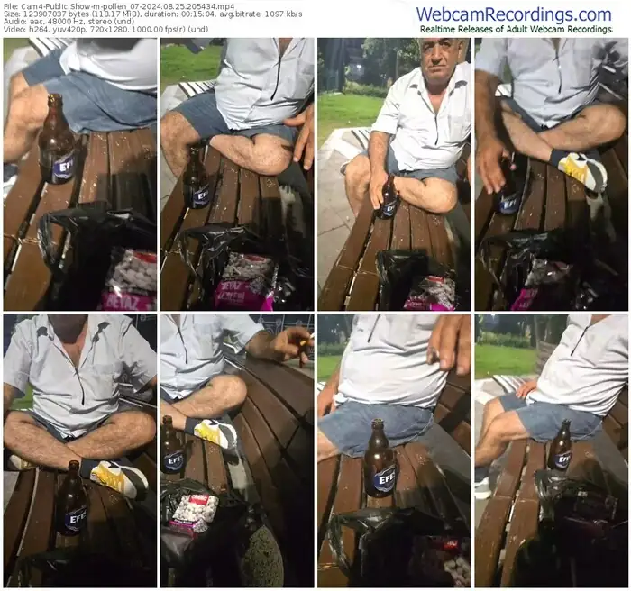 2024/08/25/cam4-pollen_07-20-54-34