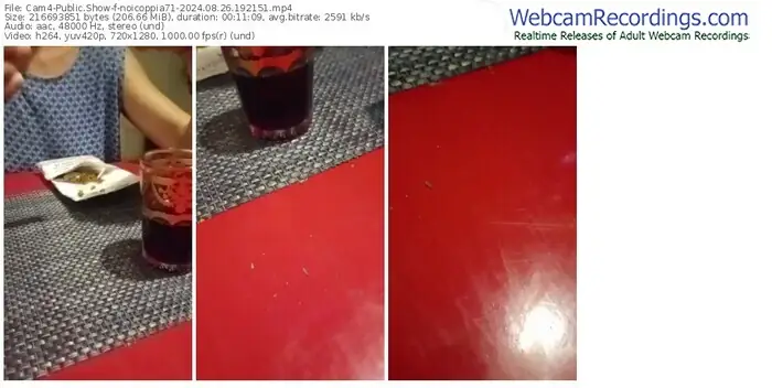 2024/08/26/cam4-noicoppia71-19-21-51