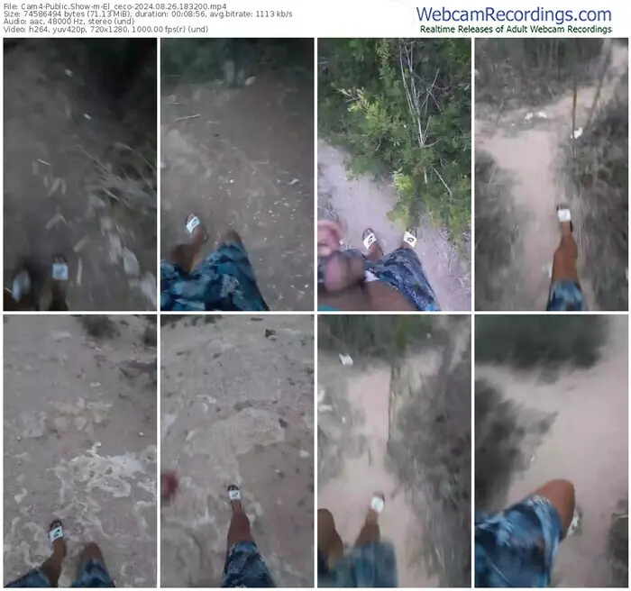 2024/08/26/cam4-el_ceco-18-32-00