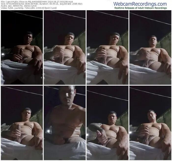 2024/08/27/cam4-pelahkweedman-00-32-08