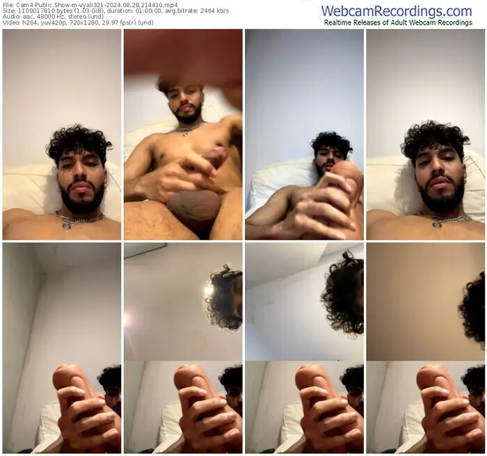 2024/08/28/cam4-vyali321-21-44-10