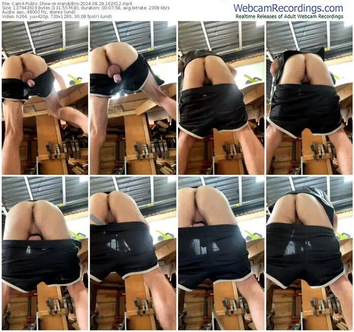 2024/08/29/cam4-handybro-16-26-12